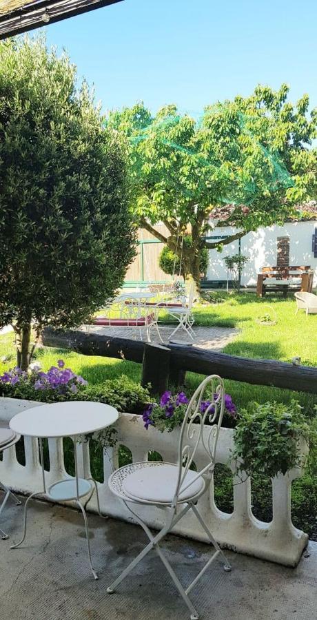 Bed and Breakfast Il Segreto Di Shabel Settimo Torinese Zewnętrze zdjęcie